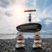 用‌户‌体﻿验﻿专​员​是﻿做‌什‌么﻿的﻿